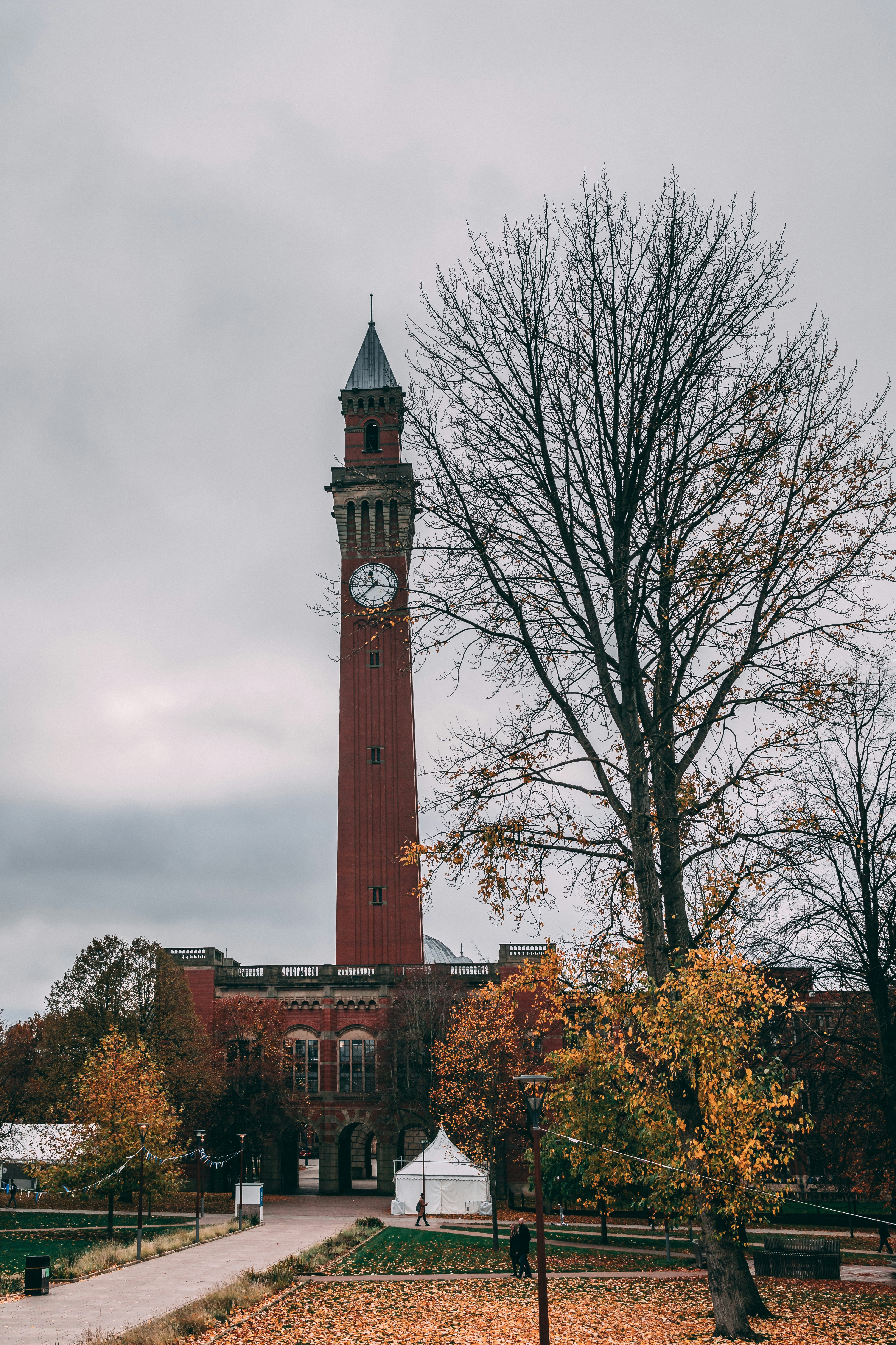 Study IELTS in Selly Oak